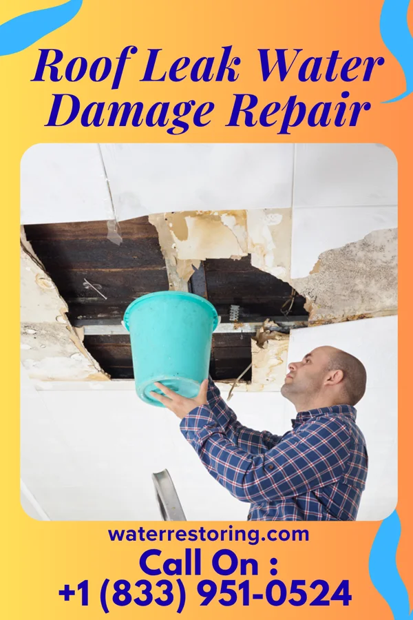 Roof Leak Water Damage Repair in Mountain Home, AR