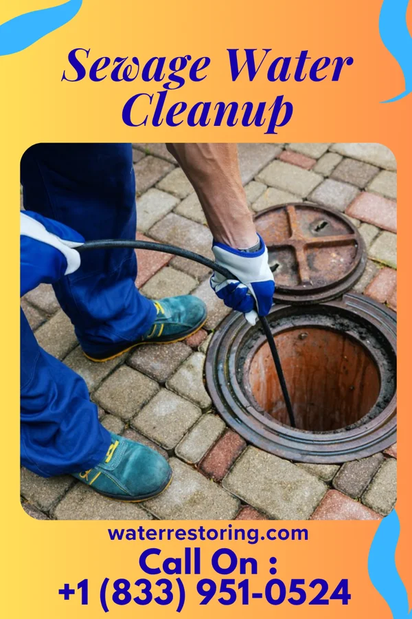 Sewage Water Cleanup in Mountain Home, AR